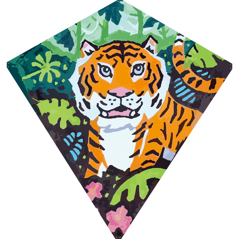 Eddy 65- Tiger Cub